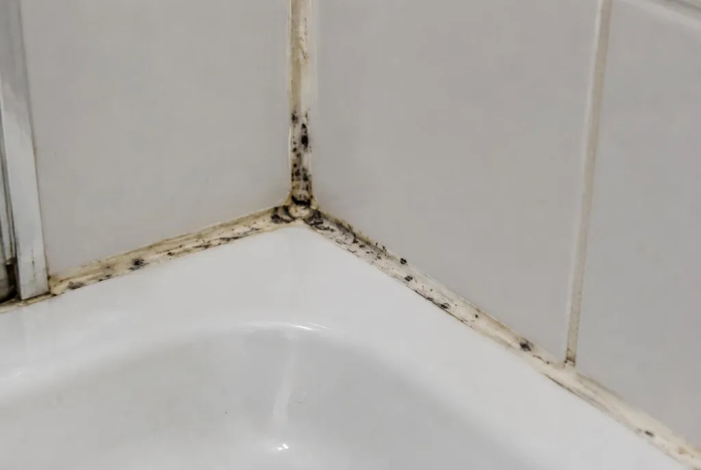 Kitbedrijf Rotterdam – beschimmelde kitranden